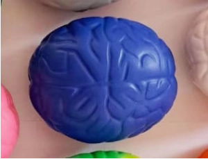 Cerebro Antistress, elaborado en PU, tamaño 7 x 4.8 x 4.5 cmts