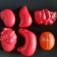 Antistress en forma de Organos Humanos, elaborados en PU