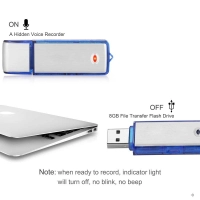 Memoria USB con Grabadora de Voz